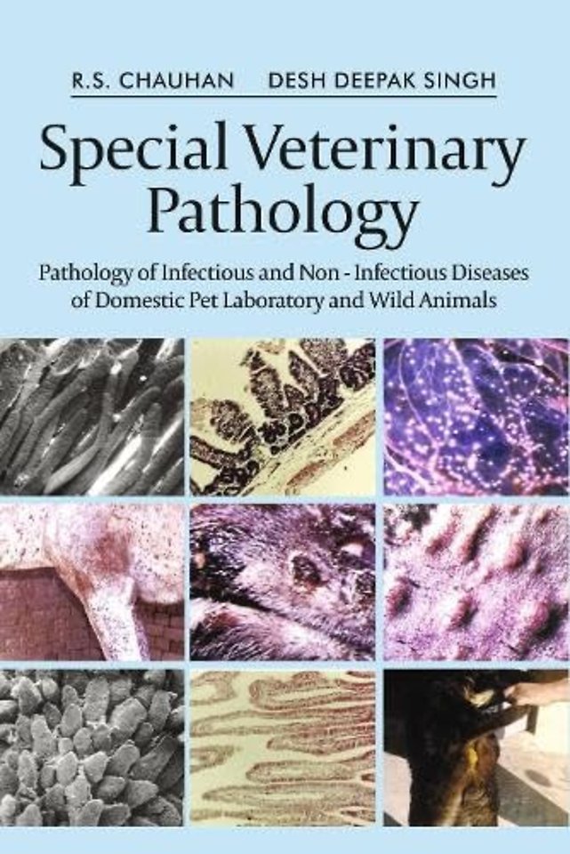 Special Veterinary Pathology – Pathology of Infectious and Non – Infectious Diseases of Domestic Pet, Laboratory and Wild Animals