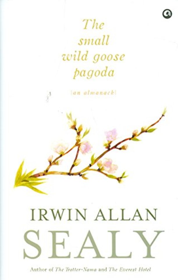 Small Wild Goose Pagoda