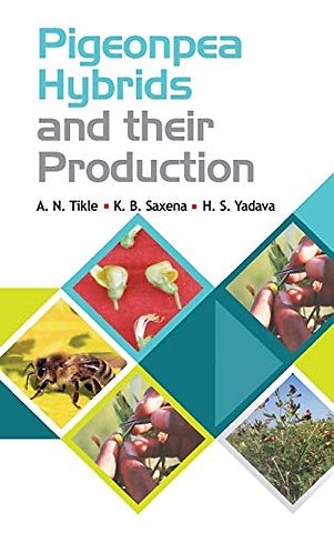 Pigeonpea Hybrids and Their Production