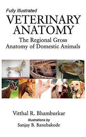 Veterinary Anatomy – The Regional Gross Anatomy of Domestic Animals