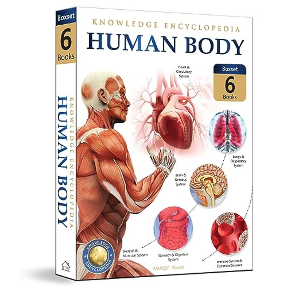Knowledge Encyclopedia For Children: Human Body