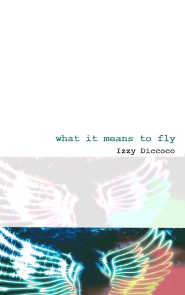 What It Means To Fly