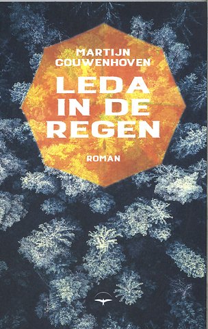 Leda in de regen