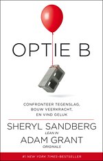 Optie B - Confronteer tegenslag, bouw veerkracht en vind geluk