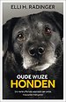Oude wijze honden Oude wijze honden