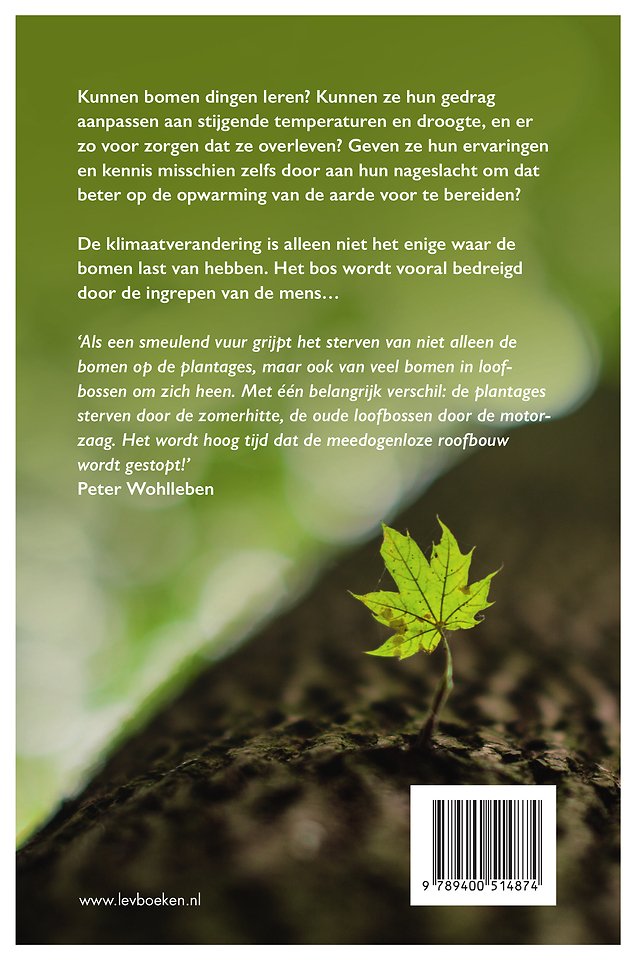 De lange adem van bomen