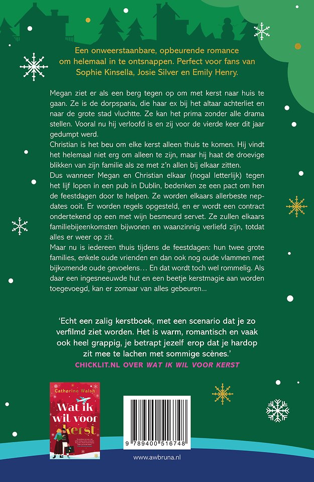 Ingesneeuwd met kerst
