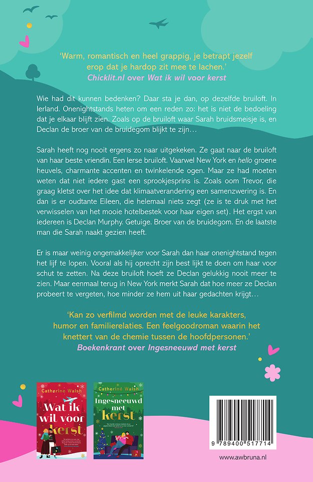 Niet meer dan een nacht