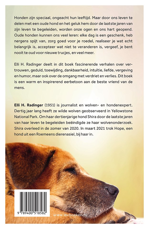 Oude wijze honden
