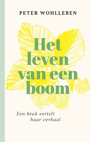 Het leven van een boom