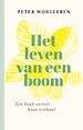Het leven van een boom