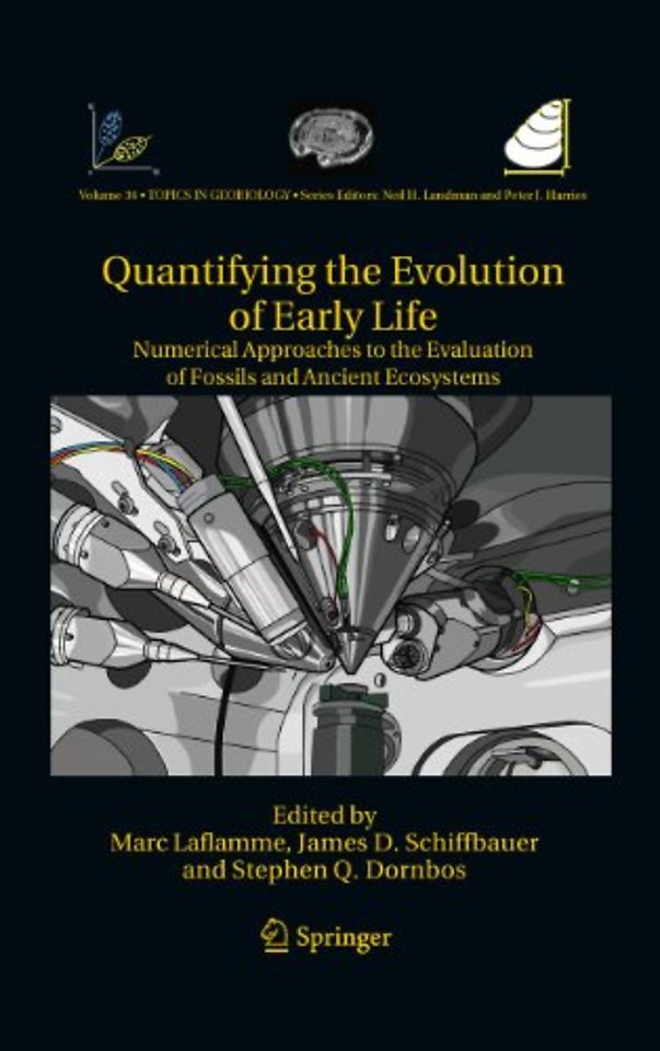 Quantifying the Evolution of Early Life