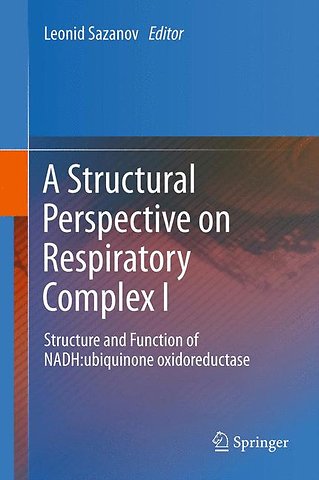 A Structural Perspective on Respiratory Complex I
