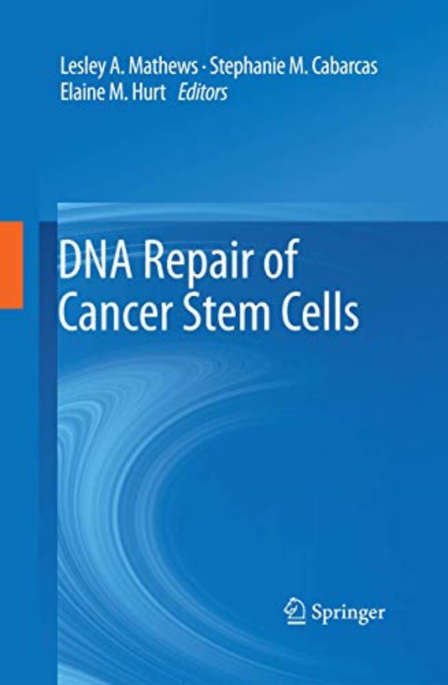 DNA Repair of Cancer Stem Cells