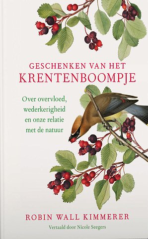 Geschenken van het krentenboompje