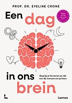 Een dag in ons brein
