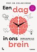 Een dag in ons brein Een dag in ons brein