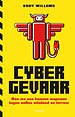 Cybergevaar Cybergevaar