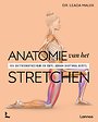 Anatomie van het stretchen