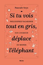 Si tu vois tout en gris, déplace l'éléphant