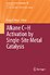 Alkane C-H Activation by Single-Site Metal Catalysis