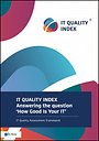 IT Quality Index