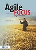 Agile focus in governance