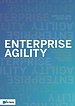 Enterprise Agility