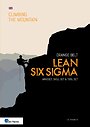 Lean Six Sigma Orange Belt