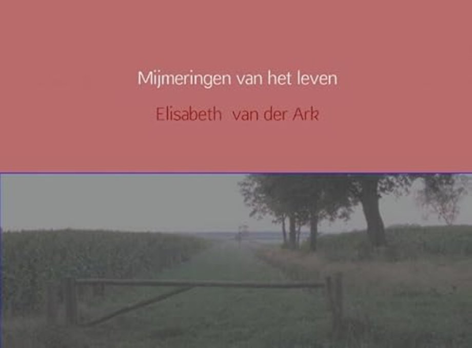 Mijmeringen van het leven
