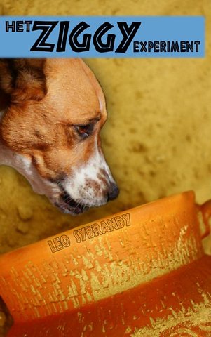 Het Ziggy experiment