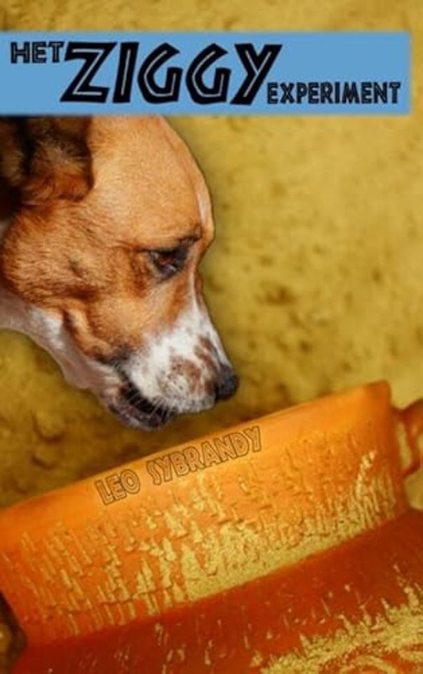 Het Ziggy experiment