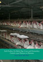 Sick poultry, pet birds, pigs, cows and dromedary camels cause diseases in humans