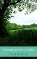 Moordvakantie in Wales