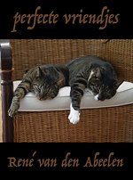Perfecte vriendjes