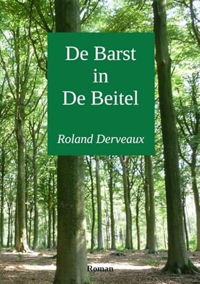 De Barst in De Beitel
