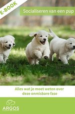 Socialiseren van een pup
