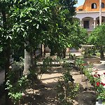 Roses of the Alcázar