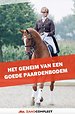 Het geheim van een goede paardenbodem Het geheim van een goede paardenbodem