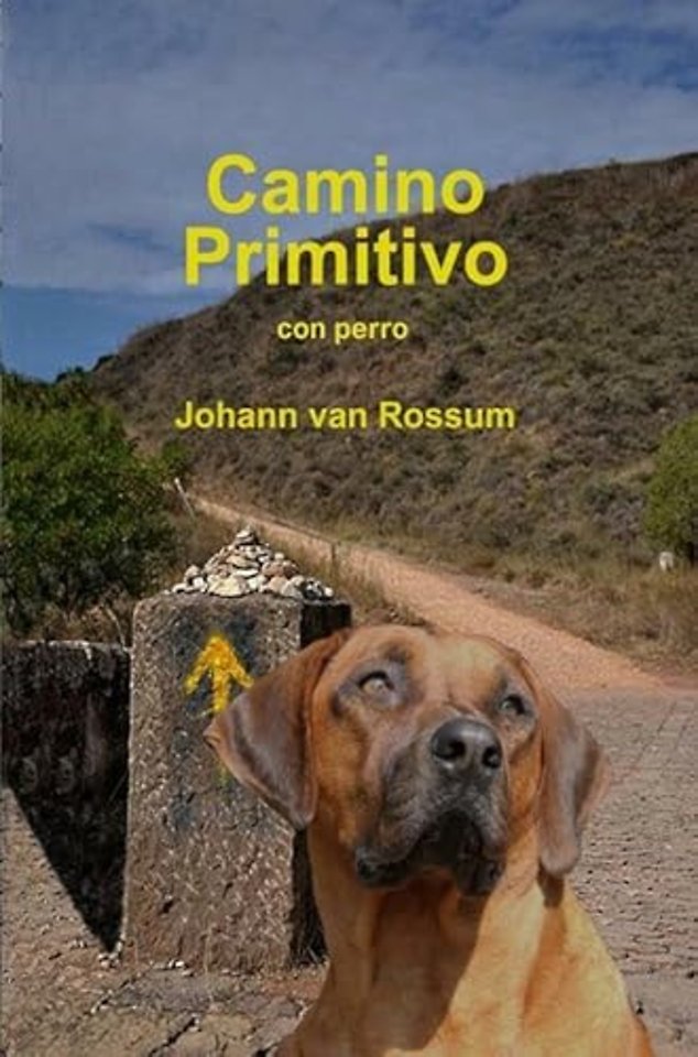 Camino Primitivo