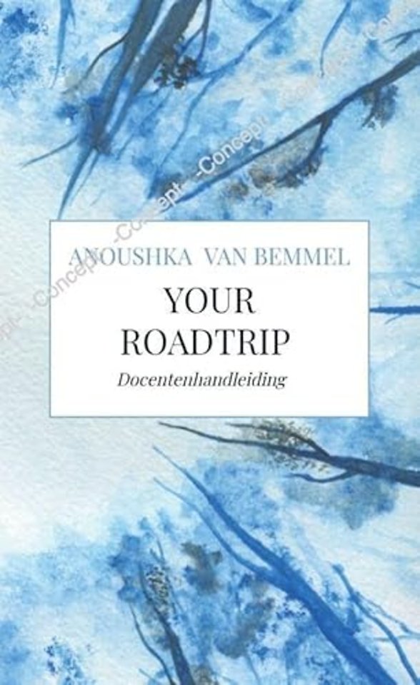 Your Roadtrip (docentenhandleiding)