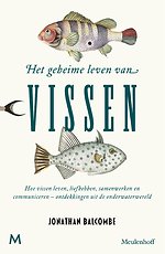 Het geheime leven van vissen