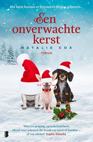 Een onverwachte kerst