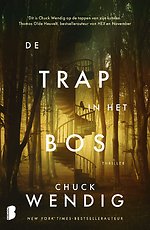 De trap in het bos