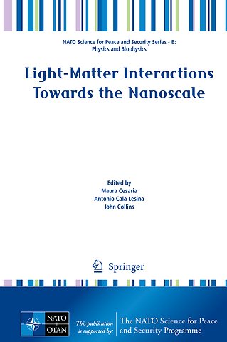 Light-Matter Interactions Towards the Nanoscale