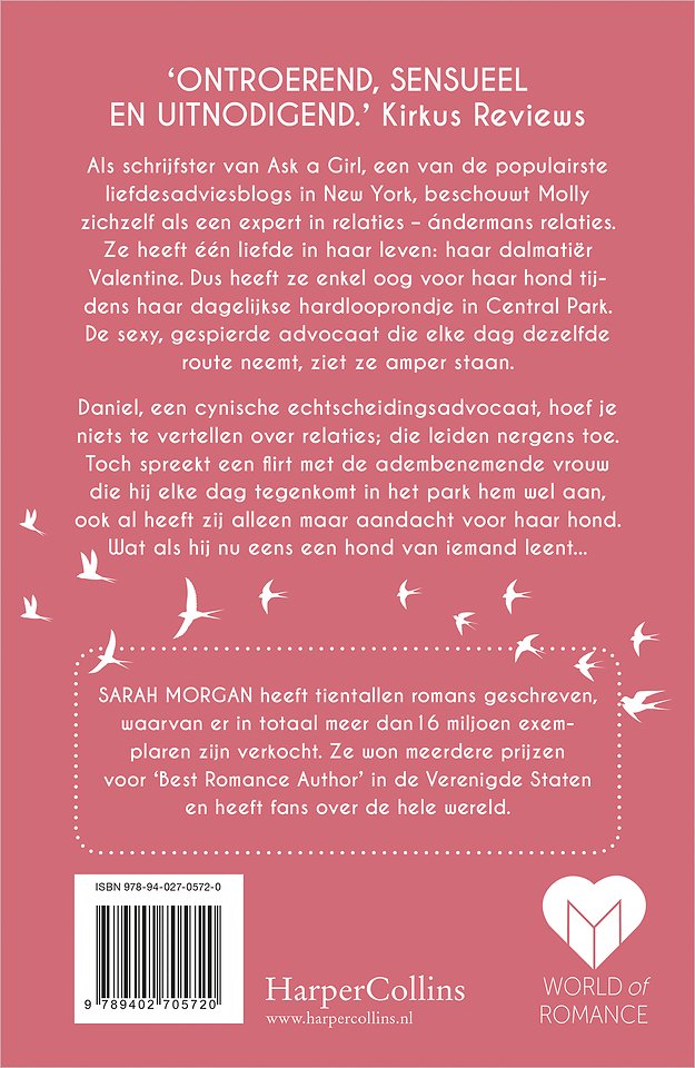 Dromen in de ochtendzon
