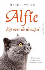 Kat over de drempel