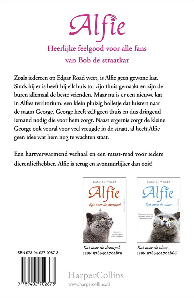 Kat voor de deur
