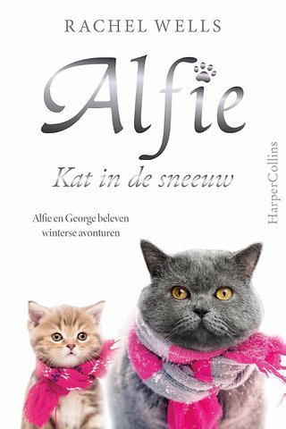 Kat in de sneeuw