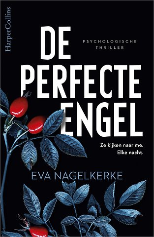 De perfecte engel